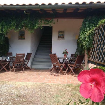 Podere San Pierino Montelupo Fiorentino Buitenkant foto